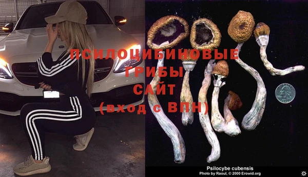 крисы Балахна